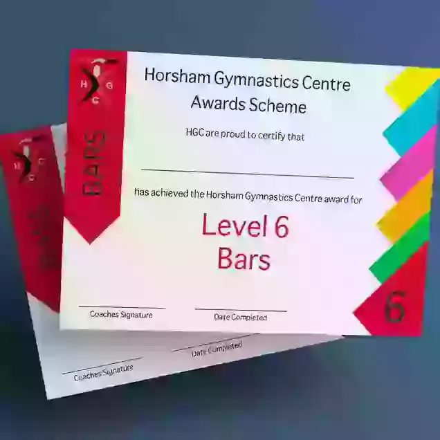 HGC Award Bars Level 6 Certificate & Medal